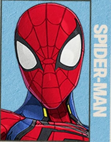 Spider-Man portrait